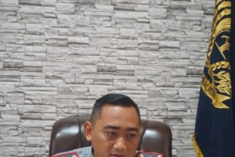 IMG 20231128 WA0004