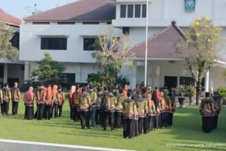 IMG 20240102 WA0000