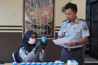 IMG 20240109 WA0131