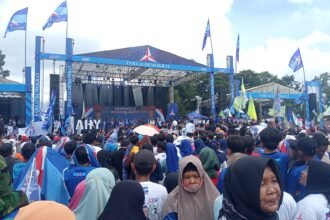 IMG 20240129 WA0142