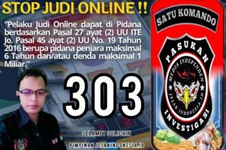 IMG 20240312 WA0017