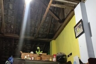 IMG 20240324 WA0005