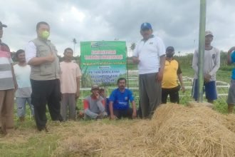 IMG 20240506 WA0004
