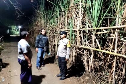 IMG 20240826 WA0052 copy 799x600