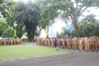 IMG 20241002 WA0134