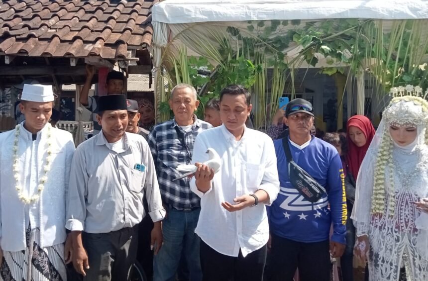 IMG 20241010 WA00821