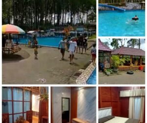 IMG 20241011 WA0115