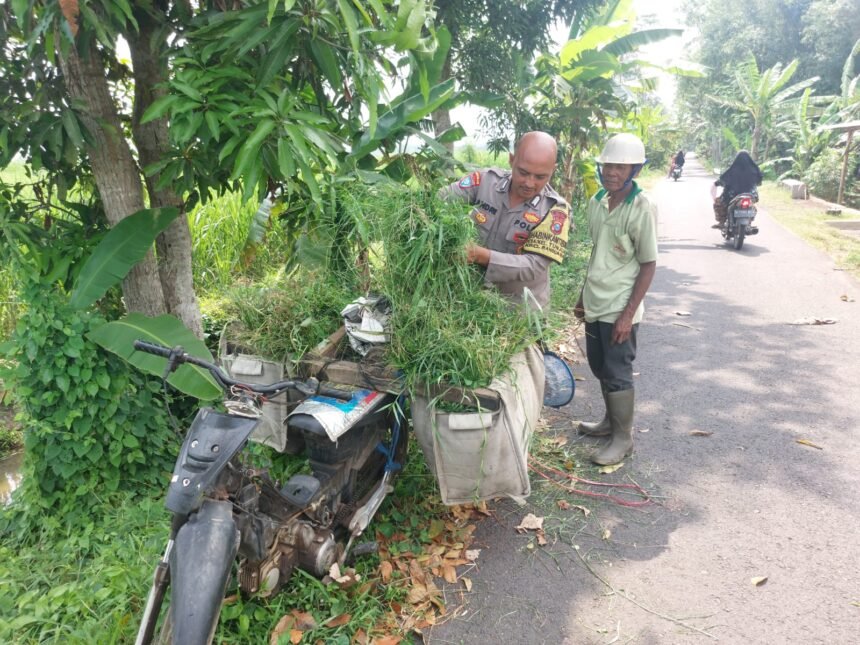 IMG 20241013 WA0006