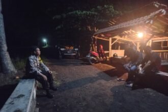 IMG 20241023 WA0043