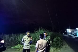 IMG 20241029 WA0059