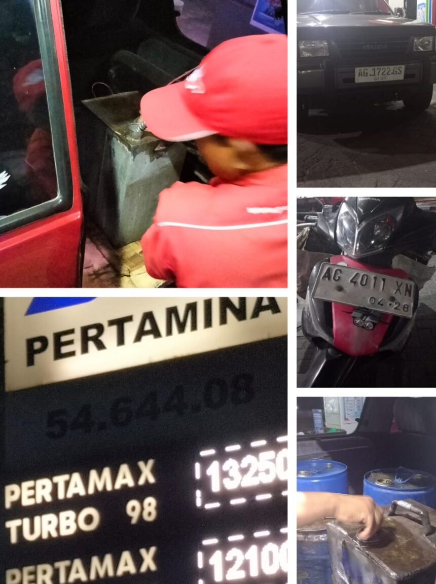 IMG 20241029 WA00781