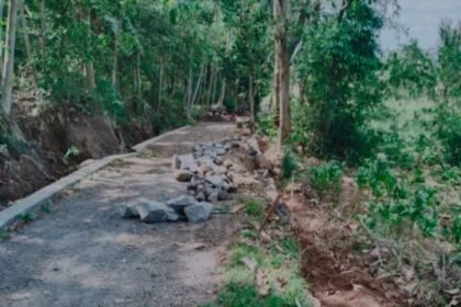 IMG 20241031 WA01821