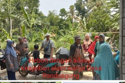 IMG 20241111 WA0068