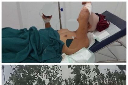 IMG 20241112 WA00411