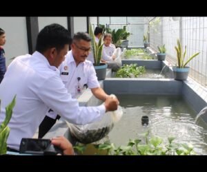 IMG 20241113 WA0170