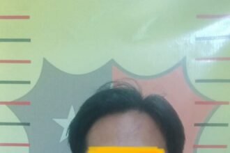 IMG 20241116 WA0033