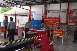 IMG 20241126 WA0226
