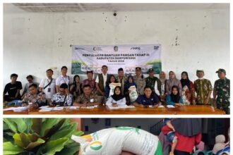 IMG 20241211 WA0018