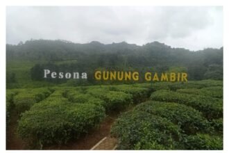 IMG 20241225 WA0195