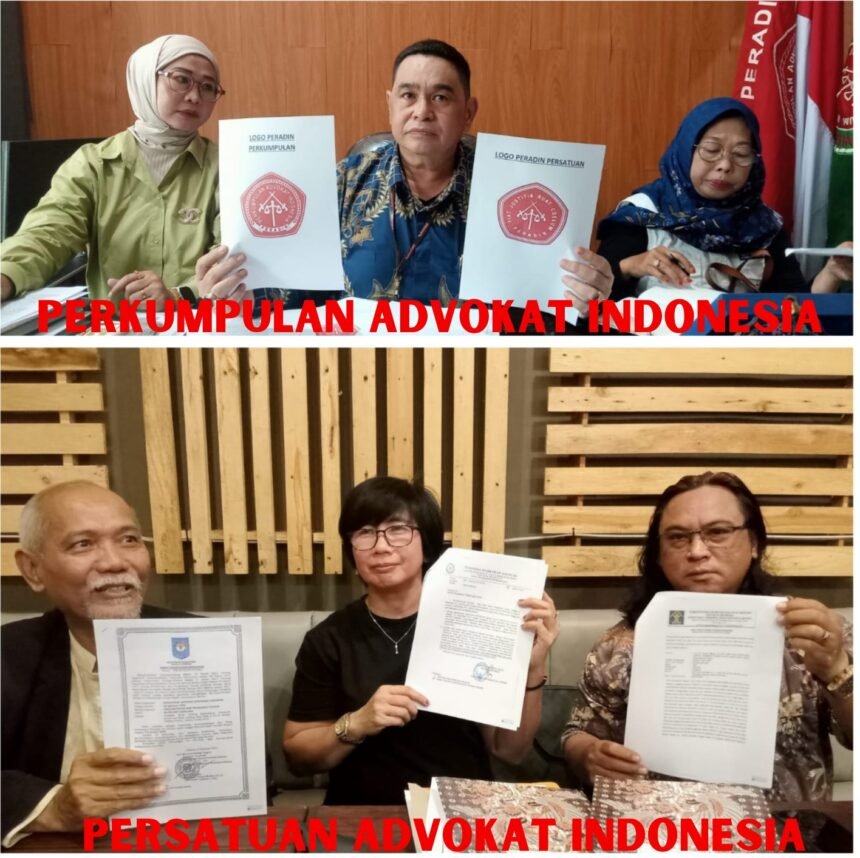 IMG 20250111 WA0215