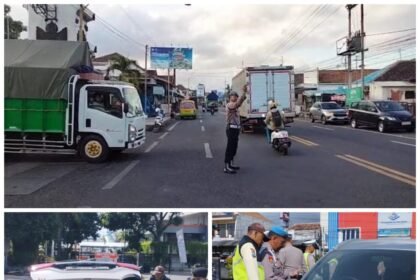 IMG 20250128 WA00901