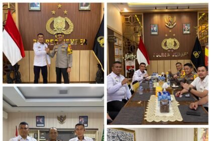 IMG 20250204 WA04301