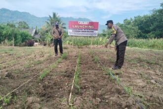 IMG 20250205 WA0150