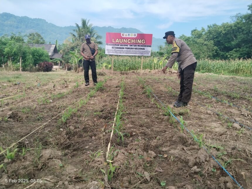 IMG 20250205 WA0150