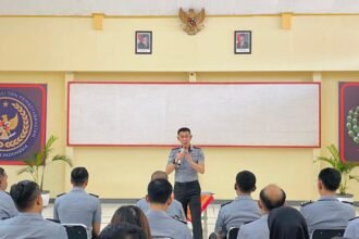 IMG 20250205 WA0233