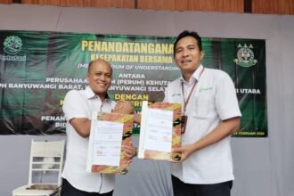 IMG 20250224 WA0224