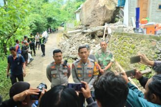 IMG 20250225 WA0236