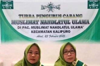 IMG 20250225 WA0256