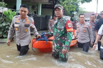 IMG 20250304 WA0162