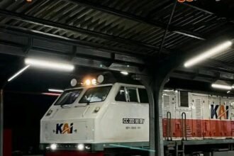 IMG 20250314 WA0049