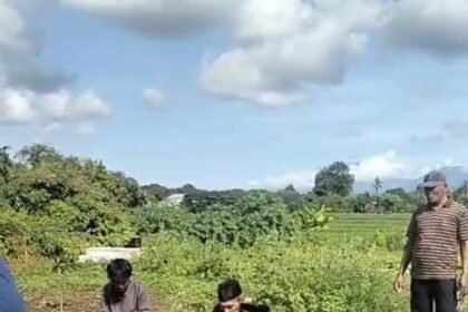 IMG 20250404 WA0035