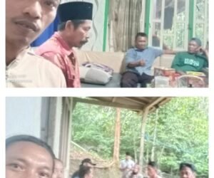 IMG 20250418 WA0100