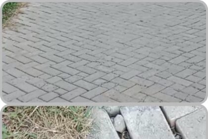 IMG 20250515 WA0194