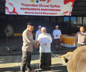 IMG 20250605 WA0211