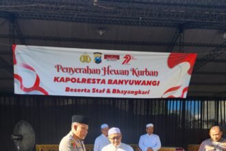 IMG 20250605 WA0211