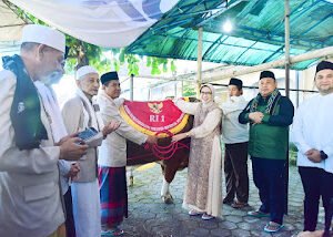 IMG 20250606 WA01621