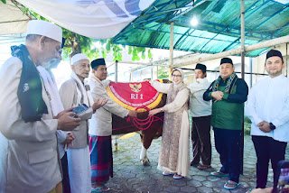 IMG 20250606 WA01621