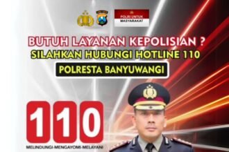IMG 20250606 WA0185