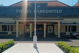 IMG 20250607 WA0224