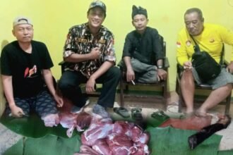 IMG 20250608 WA0254