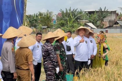 IMG 20250610 WA01171