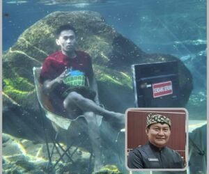 IMG 20250610 WA0206