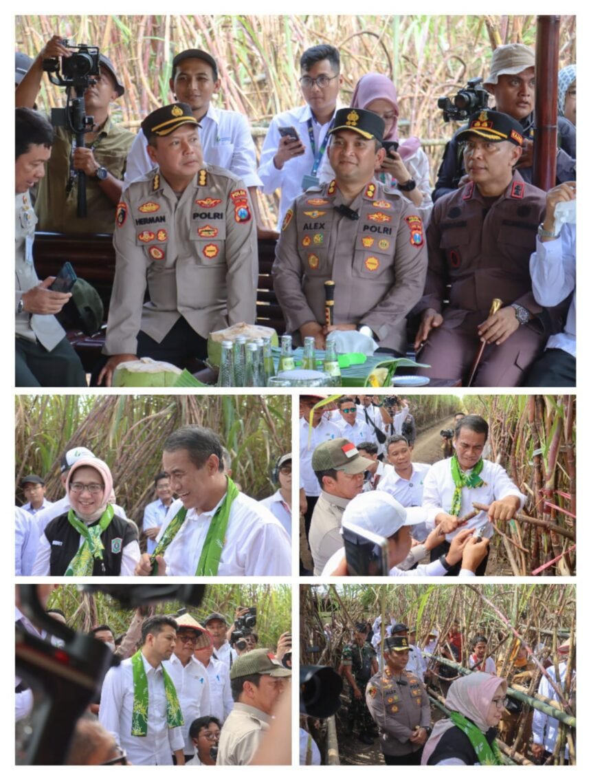 IMG 20250611 WA0035