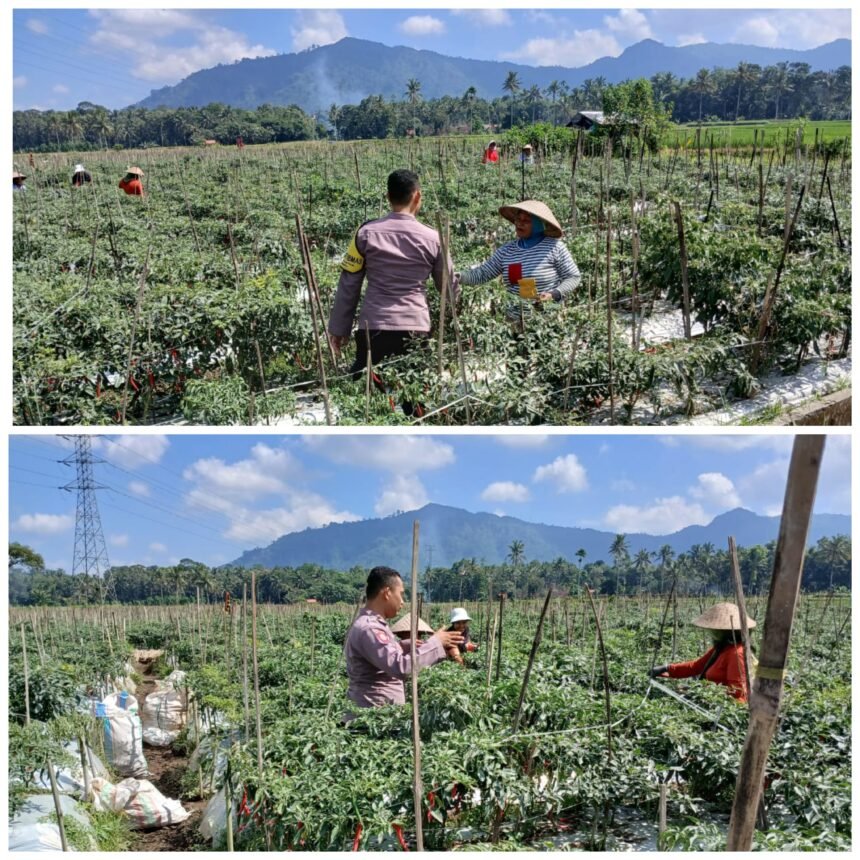 IMG 20250611 WA0096