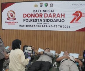 IMG 20250611 WA0110