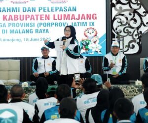 IMG 20250618 WA01682